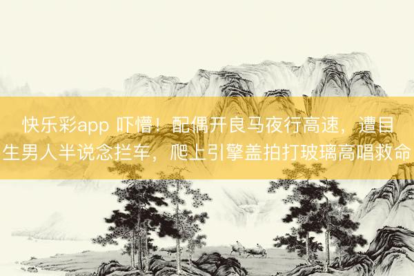 快乐彩app 吓懵!配偶开良马夜行高速,遭目生男人半说念拦车,爬上引擎盖拍打玻璃高唱救命