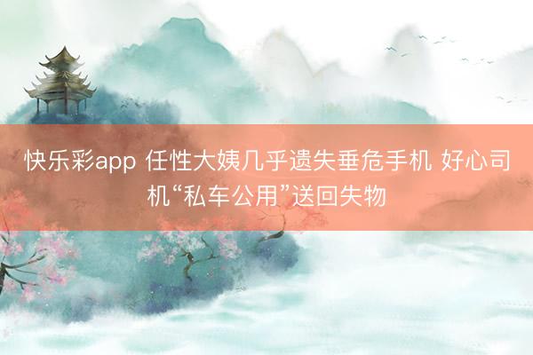 快乐彩app 任性大姨几乎遗失垂危手机 好心司机“私车公用”送回失物