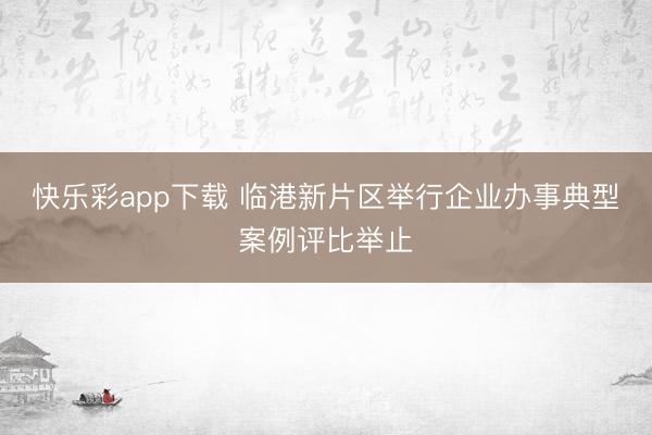 快乐彩app下载 临港新片区举行企业办事典型案例评比举止