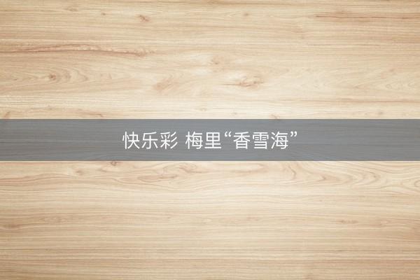 快乐彩 梅里“香雪海”