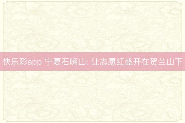 快乐彩app 宁夏石嘴山: 让志愿红盛开在贺兰山下