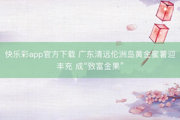 快乐彩app官方下载 广东清远伦洲岛黄金蜜薯迎丰充 成“致富金果”