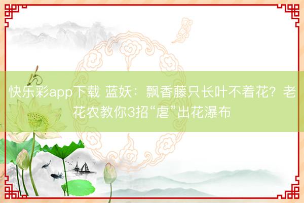 快乐彩app下载 蓝妖：飘香藤只长叶不着花？老花农教你3招“虐”出花瀑布
