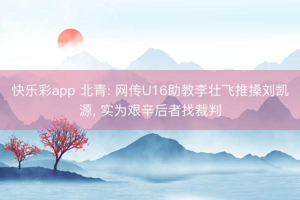 快乐彩app 北青: 网传U16助教李壮飞推搡刘凯源， 实为艰辛后者找裁判