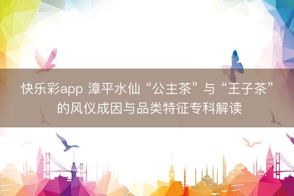 快乐彩app 漳平水仙 “公主茶” 与 “王子茶” 的风仪成因与品类特征专科解读