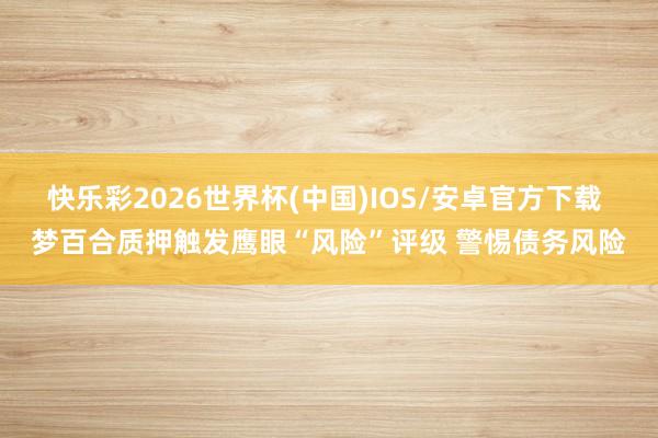 快乐彩2026世界杯(中国)IOS/安卓官方下载 梦百合质押触发鹰眼“风险”评级 警惕债务风险
