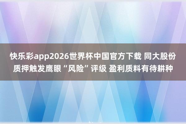 快乐彩app2026世界杯中国官方下载 同大股份质押触发鹰眼“风险”评级 盈利质料有待耕种