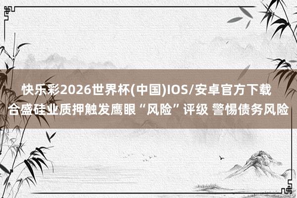 快乐彩2026世界杯(中国)IOS/安卓官方下载 合盛硅业质押触发鹰眼“风险”评级 警惕债务风险