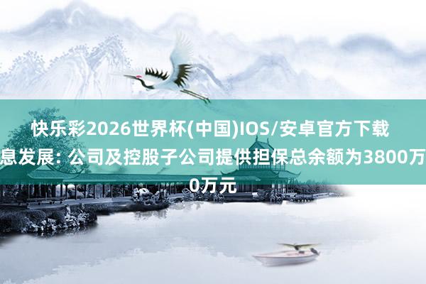 快乐彩2026世界杯(中国)IOS/安卓官方下载 信息发展: 公司及控股子公司提供担保总余额为3800万元