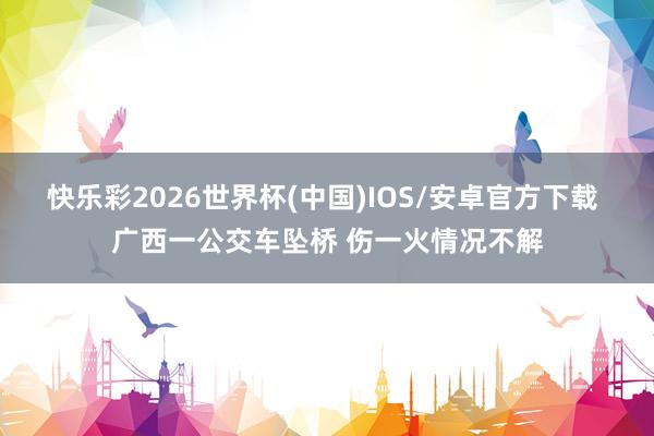 快乐彩2026世界杯(中国)IOS/安卓官方下载 广西一公交车坠桥 伤一火情况不解