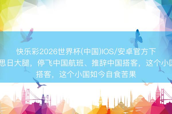 快乐彩2026世界杯(中国)IOS/安卓官方下载 顽强抱好意思日大腿,停飞中国航班、推辞中国搭客,这个小国如今自食苦果
