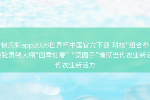 快乐彩app2026世界杯中国官方下载 科技“组合拳”保险灵敏大棚“四季如春” “菜园子”慷慨当代农业新活力