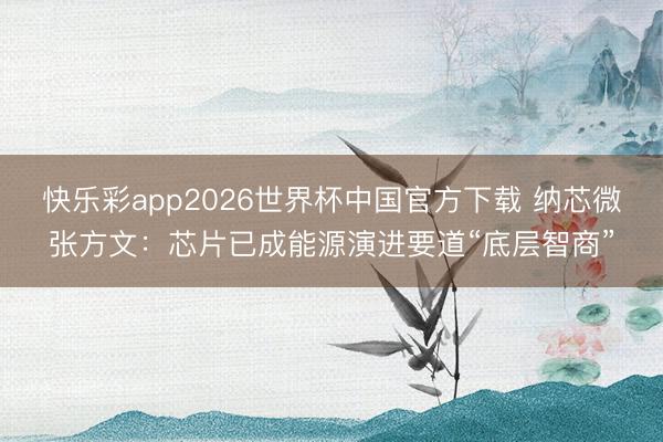 快乐彩app2026世界杯中国官方下载 纳芯微张方文：芯片已成能源演进要道“底层智商”